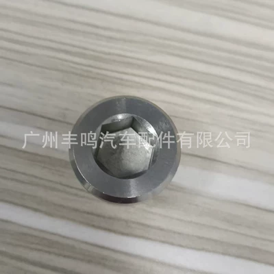 Differential assembly Plug with O-Ring No.