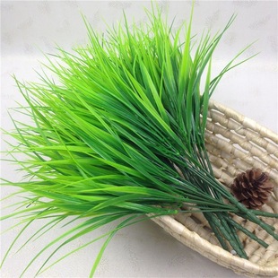 ����ˮ���߲����紺�ݾGɫ�Gֲ��͏d�~��С�ݾG�~С���Ը߷���