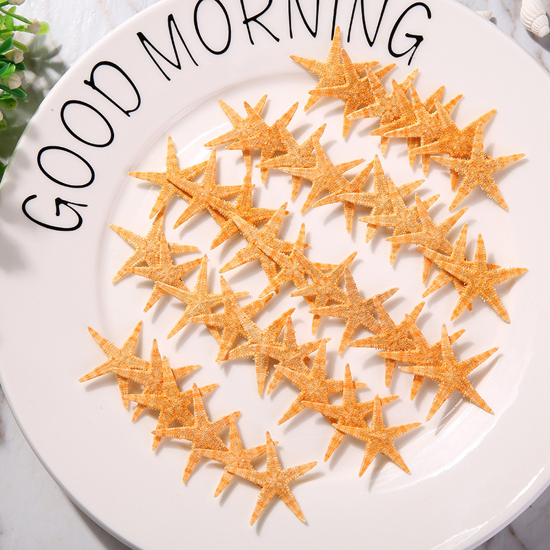 9101946371_373119200