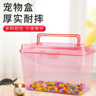 Portable Transparent Plastic Turtle Box Small Fish Tank Portable Pet Box Feeding Box Goldfish Box Small Turtle Bottle Carrying Out