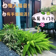 ��β���T������ϲ�ֲ��ͥԺ�̨���@�;S�o�͸ߜ��ͺ��ļ����Gֲ