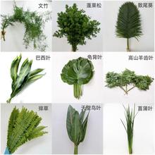 云南各类鲜花配叶批发婚庆活动布置新鲜叶材龟背羊齿巴西叶星点木