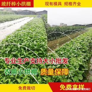 Solid Fiberglass Rod Greenhouse Small Arch Support Gardening Flower Support Rod Vegetable Greenhouse Rod