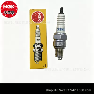 Alışdırma şamı (Sveçalar) Plug 2983 CR6HSA