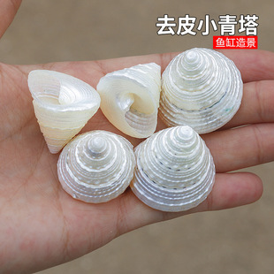 ȥƤС��������Ȼؐ�����ݰ����ݼҾӔ[����~���쾰�Ĕz����diy