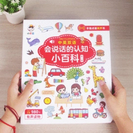 学习/早教机;玩具挂图;有声挂图