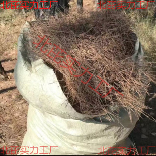 �|���������Ȼ�L����ᘸ�ֲ��������ɘ�ë�S��������Ҋ����