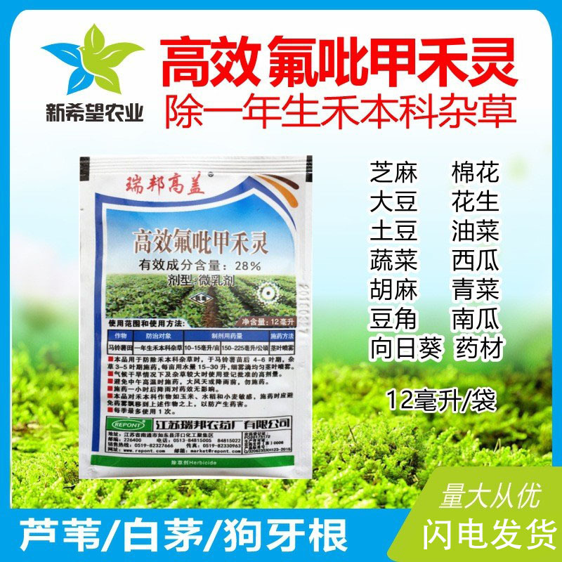 28%高效氟吡甲禾灵除草剂 除禾木科芦苇白茅狗牙根杂草除草剂 12g