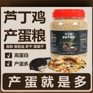 �J���u�߮a��Ϯa���Z���r���u�g���µ��u������������_����