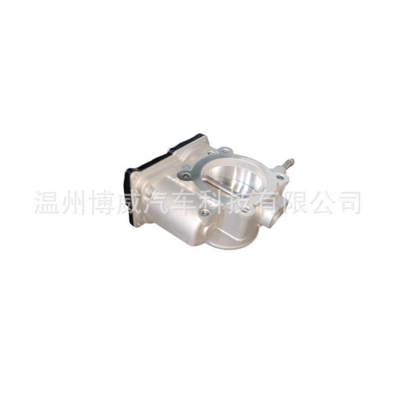 Saien, 2203036010, 220300V010, 220300V040, VE65G, E5980930 throttle valve