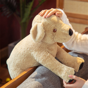 �ɐ���������ë�q��߹������д�С�S��kimiС�S��ͯ��ż������˯