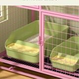 Полуполистые открытые кошки песчаные бассейн Большой анти -сплашский кот поставляет котят и кошачье дерьмое место для домашних животных туалет