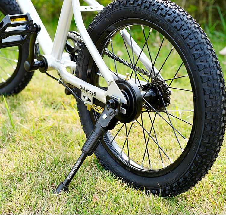 一键复制_20240326200610