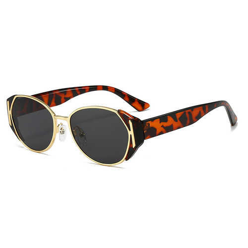New Fashion Trend Sunglasses, Influencer Style, Street Style Photoshoot, Aviator Sunglasses for Women, UV Protection, Cat-Eye Design