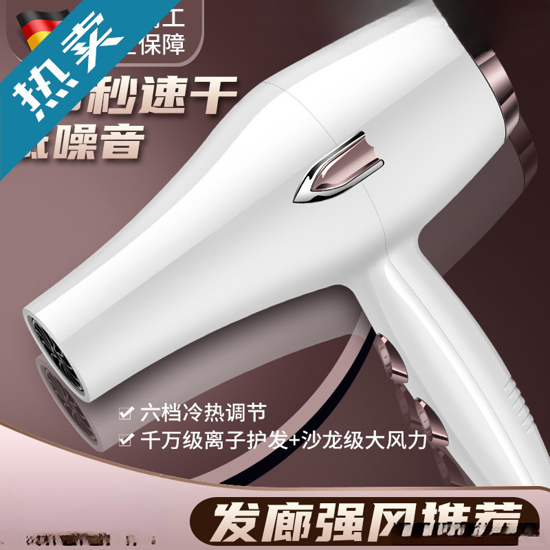 German Hairstylist Hair Dryer Hair Salon High-Power Household Strong Wind Hot and Cold Air Blue Light Negative Ion Hair Care Roll Free Shipping