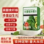 若叶代发便携健身青汁
