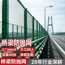 优质桥梁防抛网现货销售 金属围网 扁钢边框浸塑护栏网厂家定制