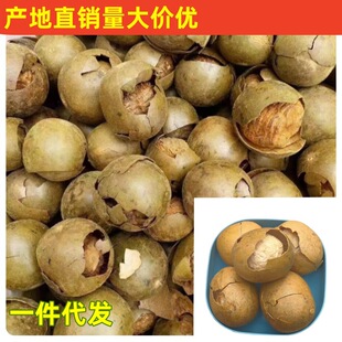 �V�������خa�_�h���ƹ�Ұ�����lˮ�������B���������~��������