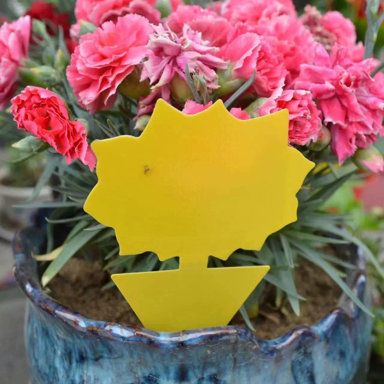 Ловушка слизистая слизистая двухсторонняя желтая пластина мощная инородная ослеплительная пластина бабочка садовая ловушка для комаров