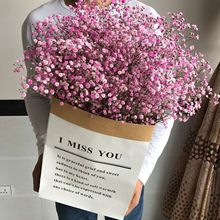 LinsˇţƤ󼈴bҾӔ[ҸɻֱNl