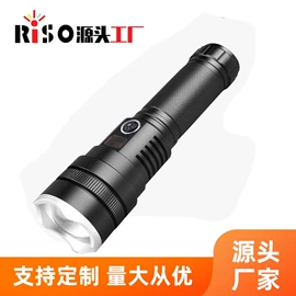 手电筒;其他照明电筒;野营/露营灯