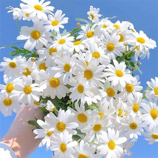 �������ػ��N�������ļ��_���ױ����҃���С�r�ջ��ܷN��ͥԺ�̨
