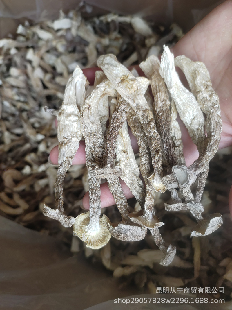 Dried Deer Antler Mushroom 500g Premium Edible Fungus for Soup and Stir Fry overview