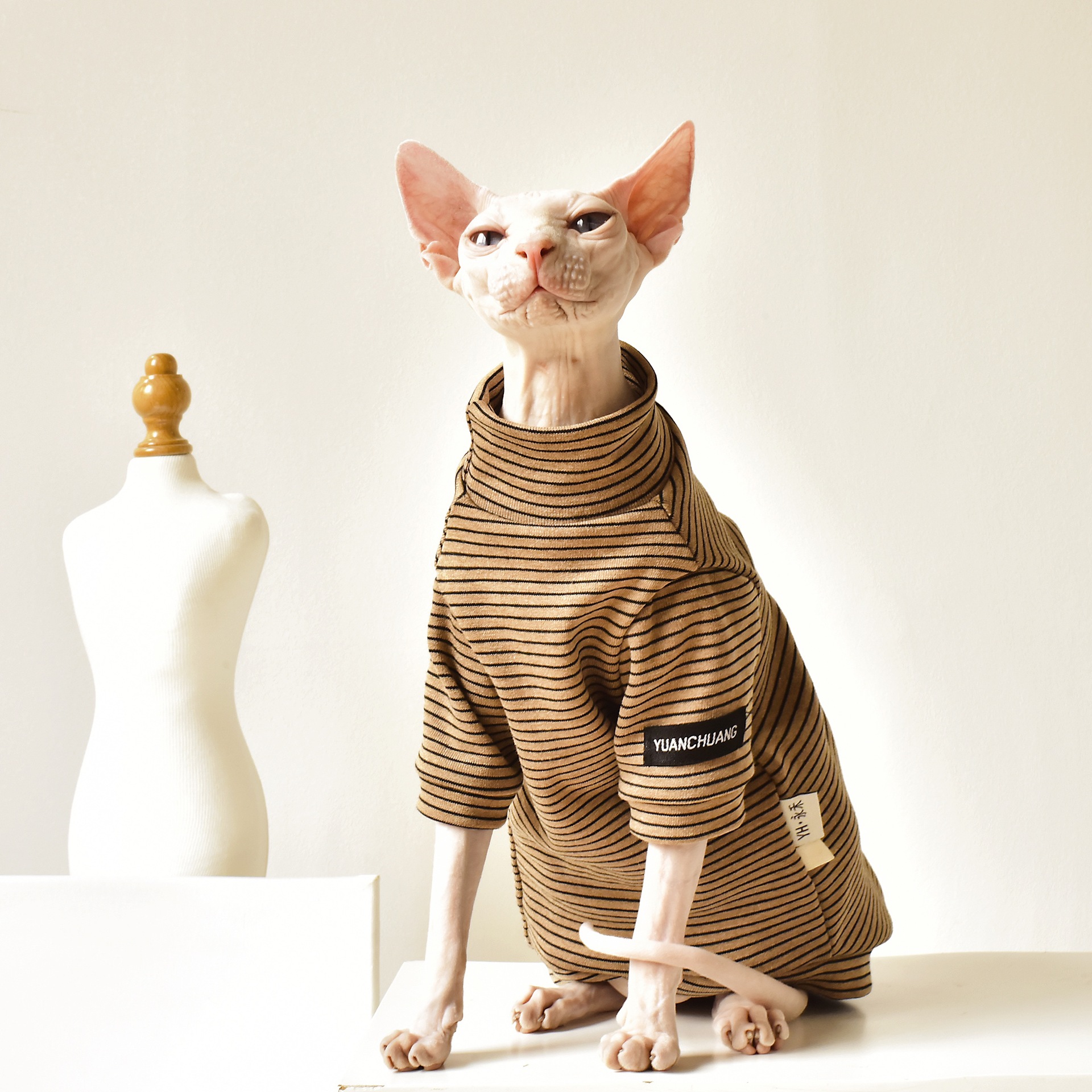 Sphynx Cat in Khaki Stripes