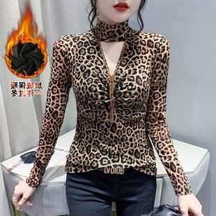 �ӽq�Ӻ��Ըб��yV�IT��Ů�L�䶬��2024�ع���������������³�