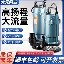 大元水泵潜水泵220V家用小型抽水机高扬程380v农用灌溉污水泵