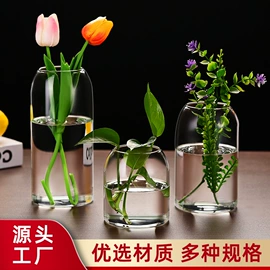 收纳密封罐;水培植物瓶;茶叶罐