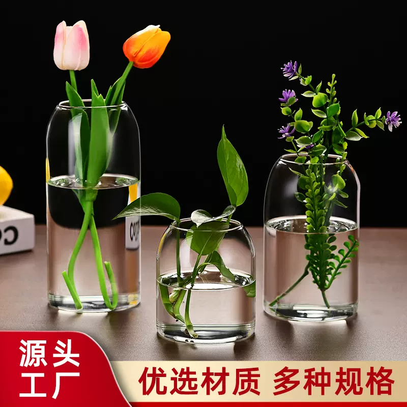厂家批发高硼硅玻璃插花瓶 鲜花装饰摆件 芦笋罐微景观水培生态瓶