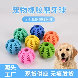 狗狗食具;狗狗玩具;狗狗清洁