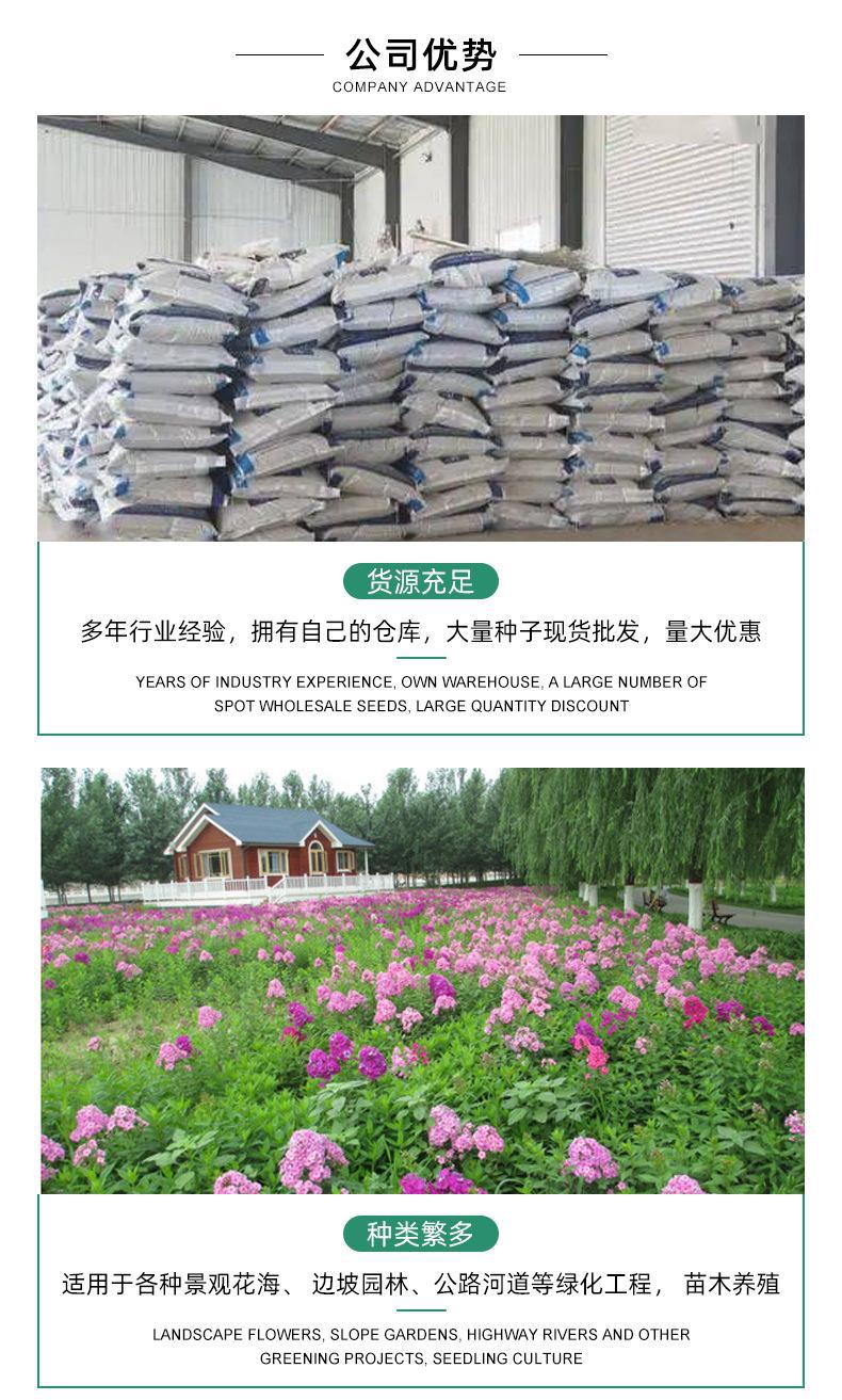 O1CN01AbIWDt21O8reQuuNC_!!2210