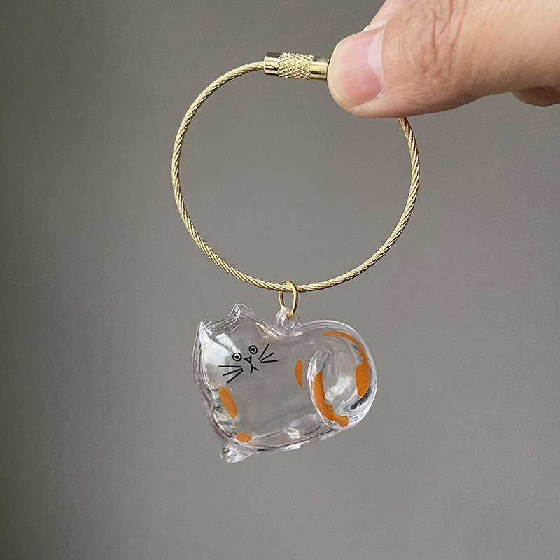 Transparent Cat Hair Storage Box Pendant Capsule Hair Storage Acrylic Collection Souvenir Cartoon Keychain