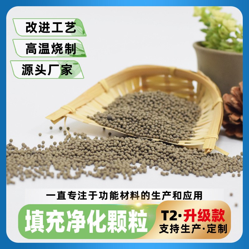 填充净化颗粒T2款吸附干燥净化颗粒净化空气去除异味吸附有害气体