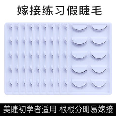 批發5對嫁接種植新手專用嫁接假睫毛初學者練習工具練習睫毛