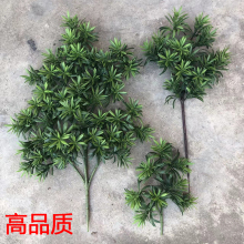 ��Ʒ�|��ɼС���~ȸ���_�h�ɼ��ɘ�֦�~ӭ�����辰�~�������