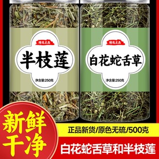 ��֦ɏ�Ͱ׻��������ș���Ƭ��Ʒ��Ş���в�șҰ����֦ɏ�Ĺ�Ч