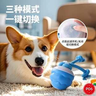 Cross-Border Pet Dog Smart Rolling Ball Electric Dog Boredom-Relief Chew-Resistant Dog Ball Teething Toy