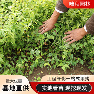 �ذ���Ļ��������ʾ����ܾGֲ��໨�ͺ�ͥԺ�G����Ļ�С��