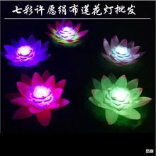 LEDɏ���� �����S���Ӻɻ��� �����߲ʺӟ� ˮ�����������l