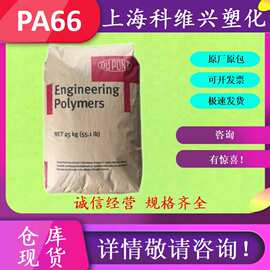 PA66 杜邦/塞拉尼斯FR50/70G33L/70G33HS1L/101L/101F等 汽车领域