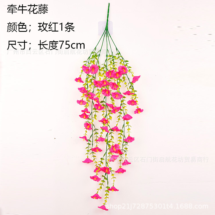 [로즈 레드 + 나팔꽃 등나무]