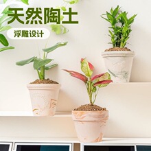 �����t�u׃���ռt����Ȼ���豱�W�؟�͸����ˮ�Gֲ�����̖�ڏ�