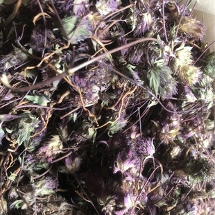 ���l ����� ţϥ�� ������ ����� ������ ������