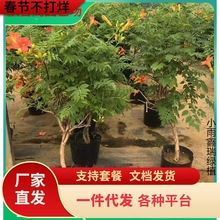 һlֲͥԺ̨ܶ༾_Եľ