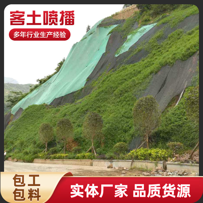 公路绿化防护网山体边坡煤矿支护网喷浆护坡网客土喷播植草挂网