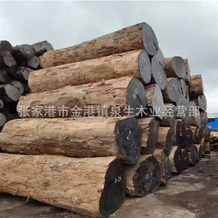 �����ľ �����ľ �S���ľ �S��骰�� �m��춼Ҿ� ��̹�ˇƷ