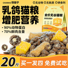 ����؈�Z20����b��؈��؈ȫ�r�������ʰl���I�B�r������10kg